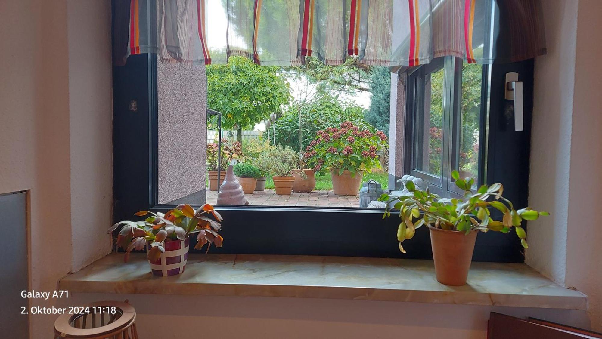 Ferienwohnung Zum Weinberg Grosskarlbach Exterior foto